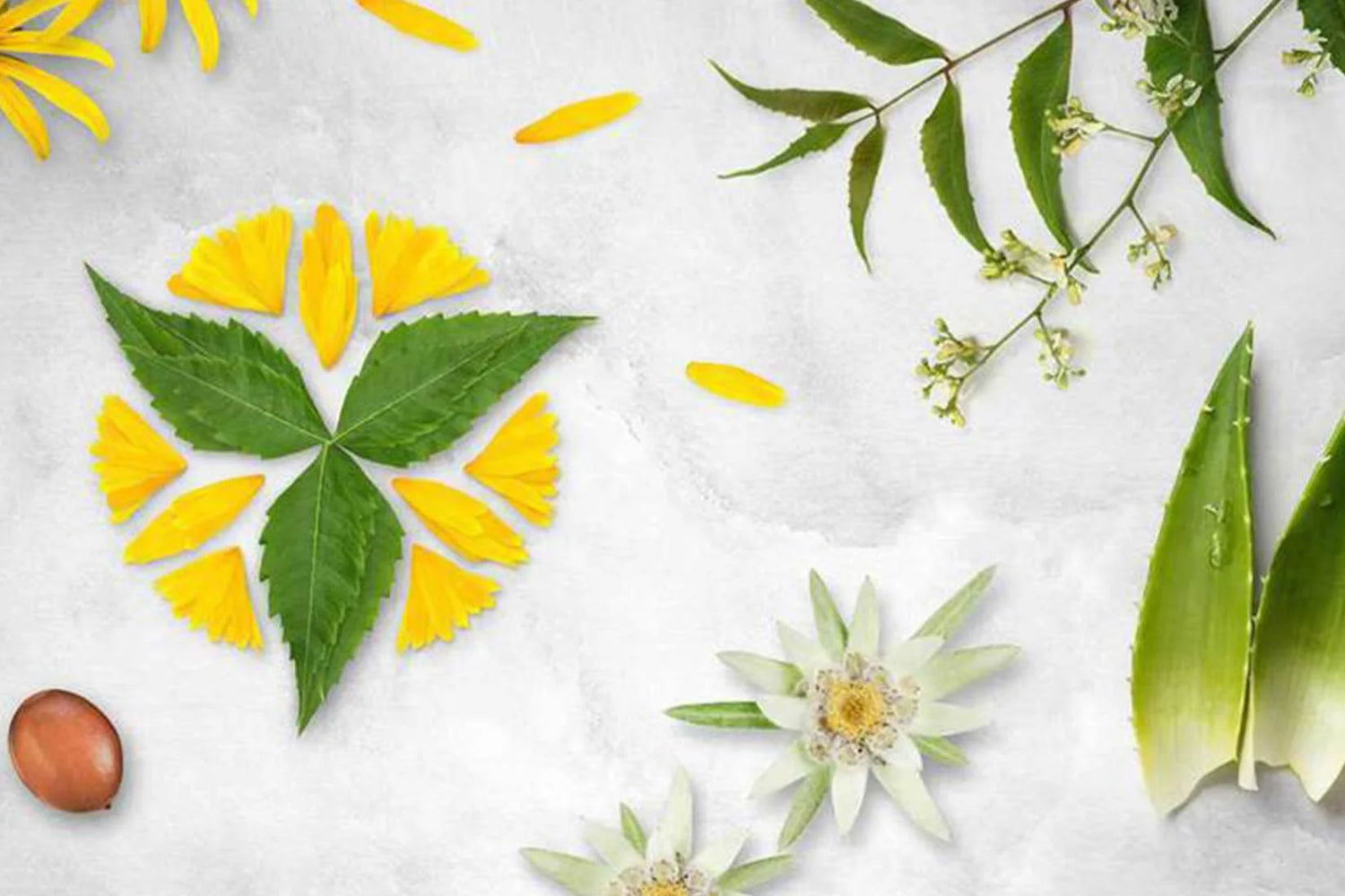 “Natural” vs “Synthetic/Chemical” Cosmetics